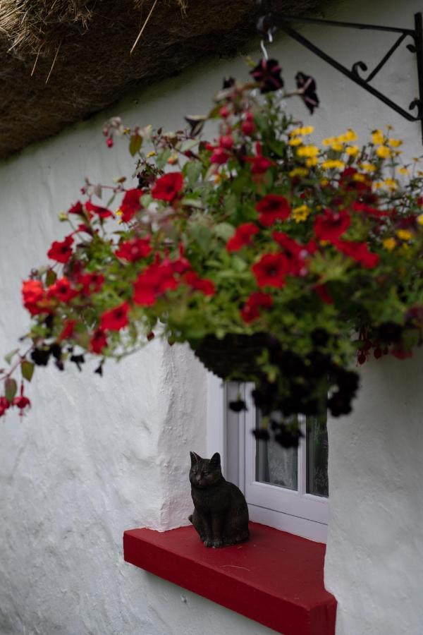 Keenaghan Cottage Belleek Zewnętrze zdjęcie